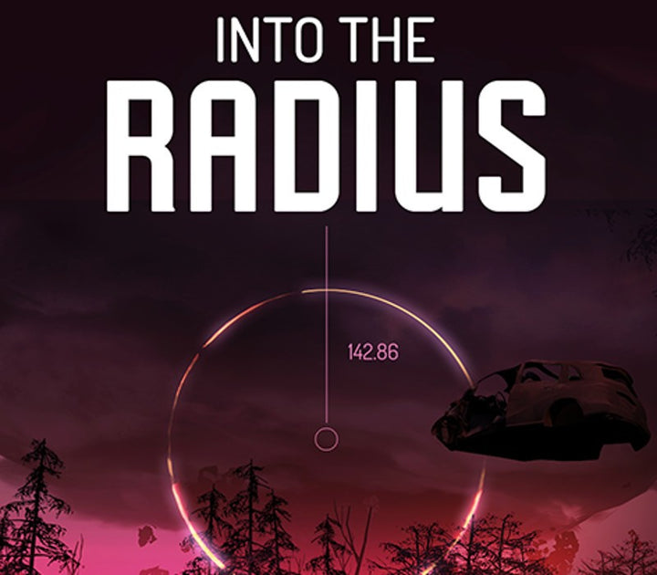 Into the Radius VR Steam Key EUROPE