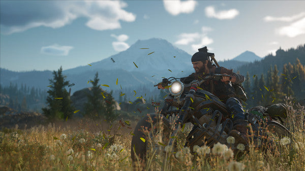 Days Gone - Steam CD Key Global